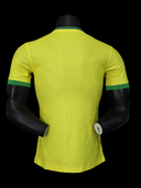 Maillots joueur brazil