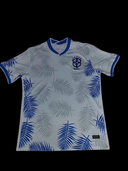 Maillots fan brazil